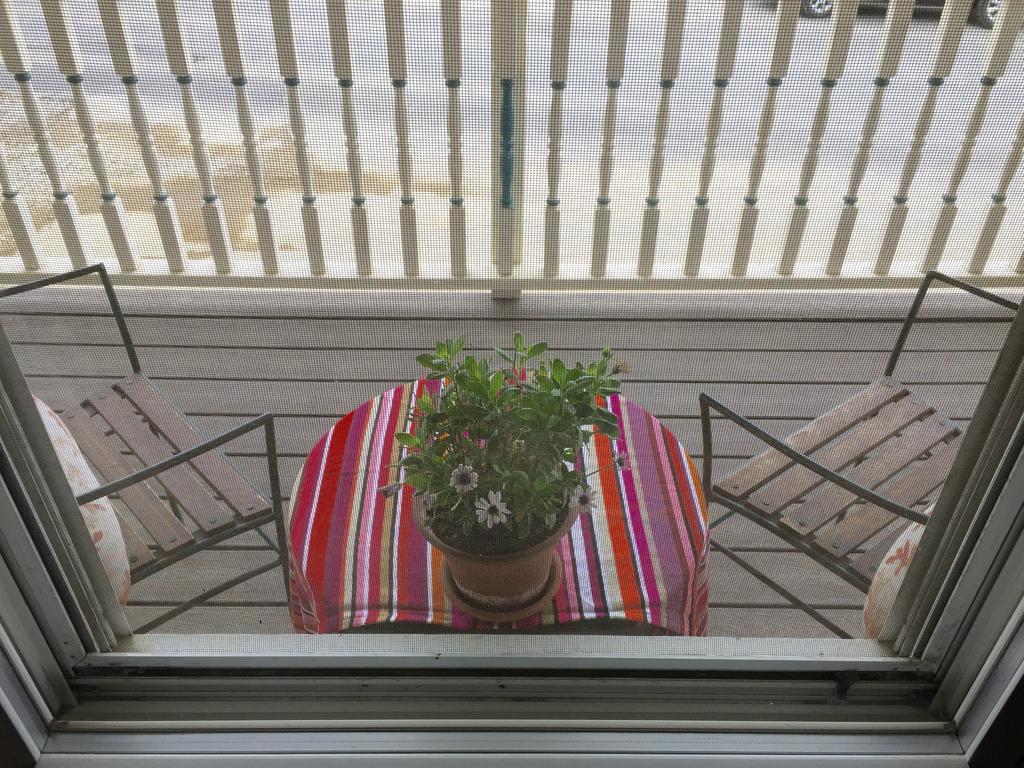 Harrington House Bed & Breakfast Winthrop Εξωτερικό φωτογραφία